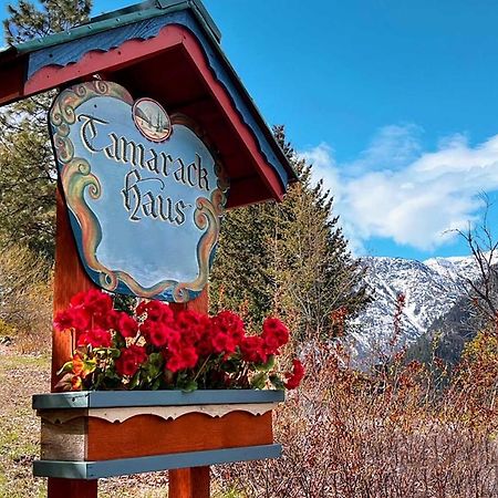 Willa Tamarack Haus Hot Tub And Ev Charging Walk Dtwn! Leavenworth Zewnętrze zdjęcie